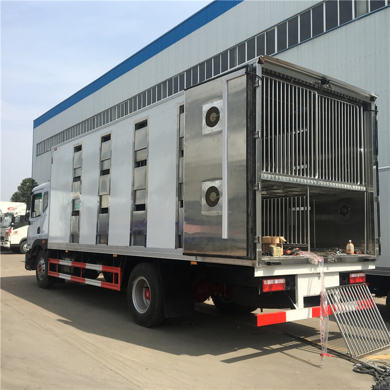 東風D9駕駛室6米畜禽運輸車